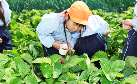 保育理念の写真